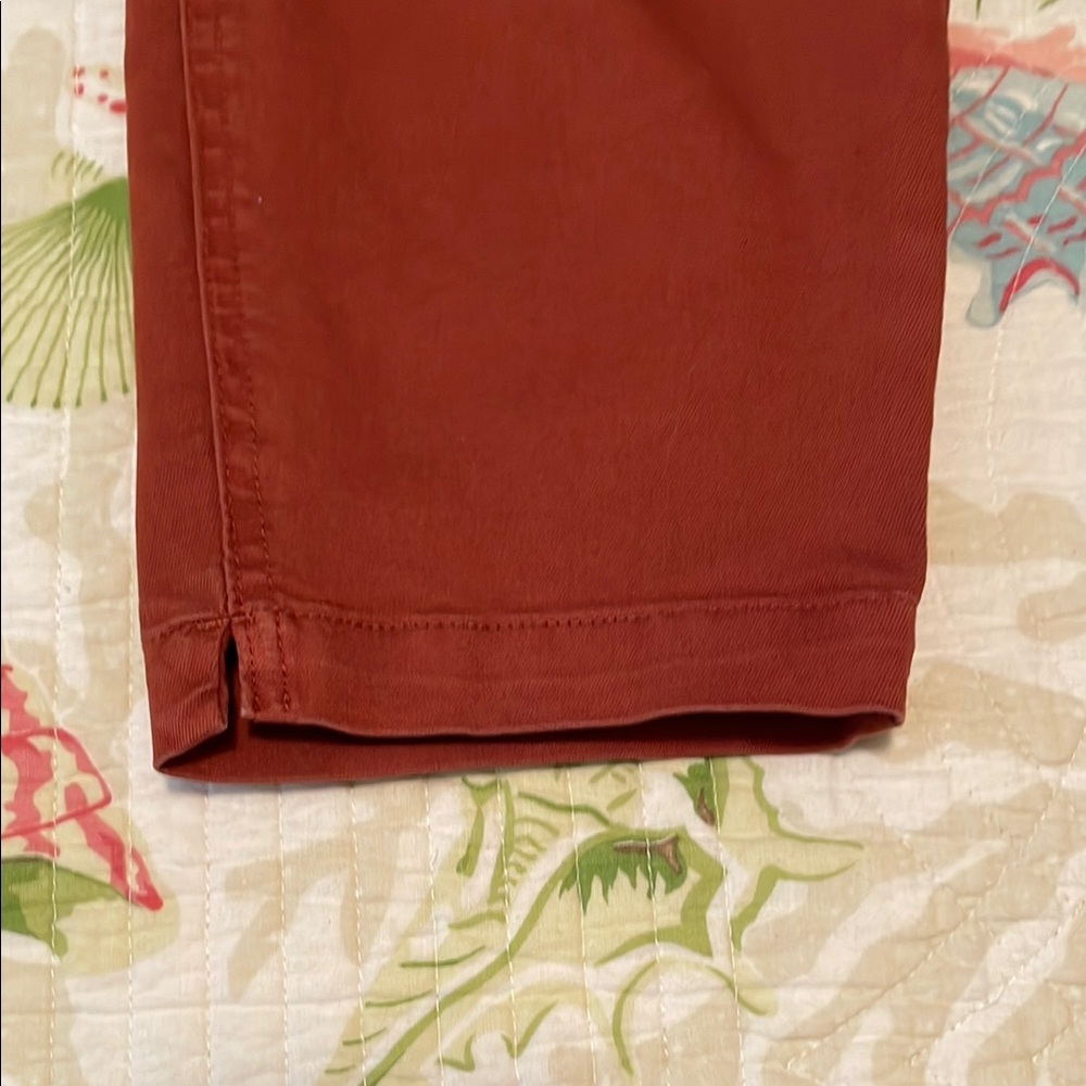 Rust Red Cropped Pants - Picture 6 of 6